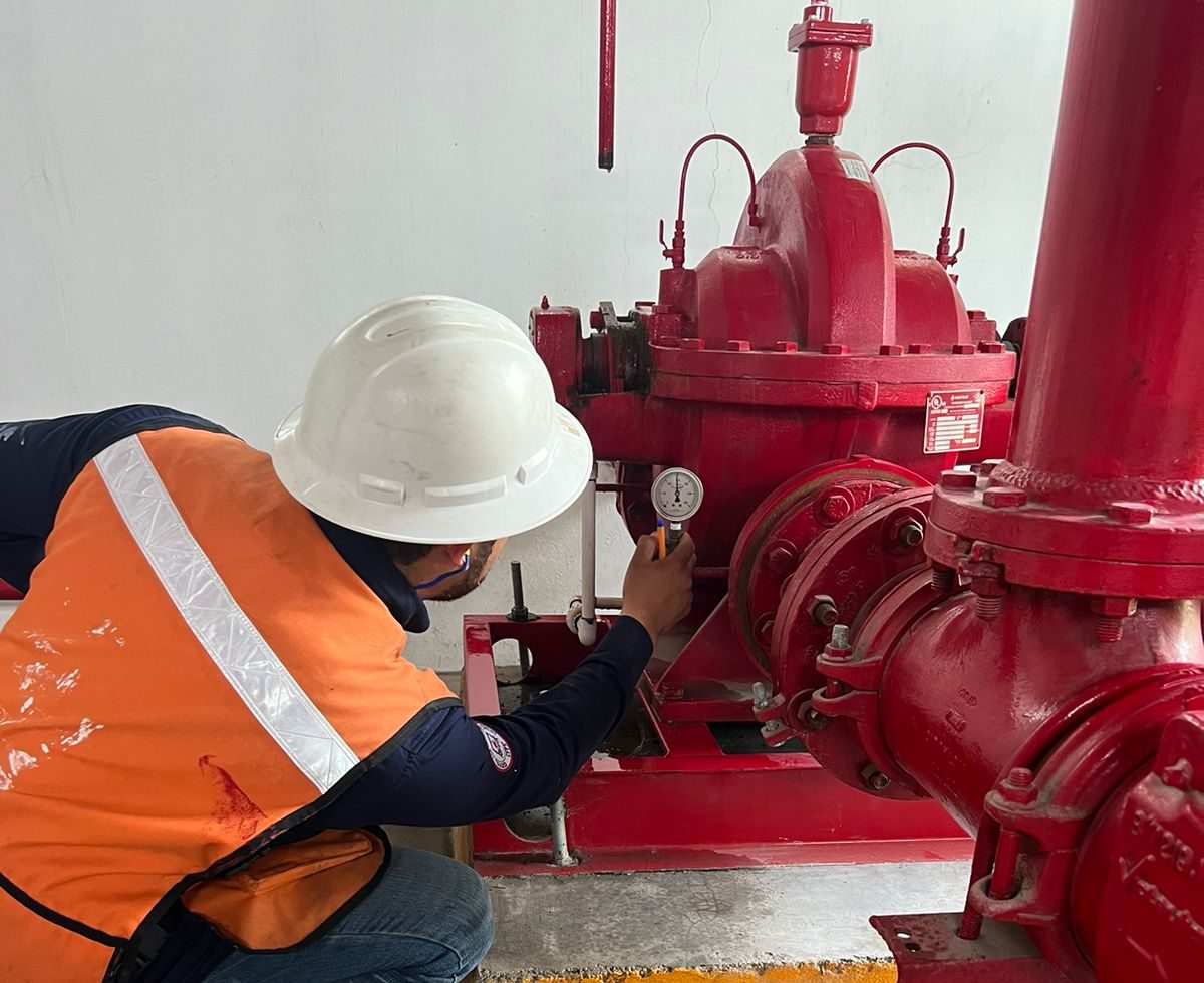 WhatsApp Image 2024-03-26 at 2.17.42 PM