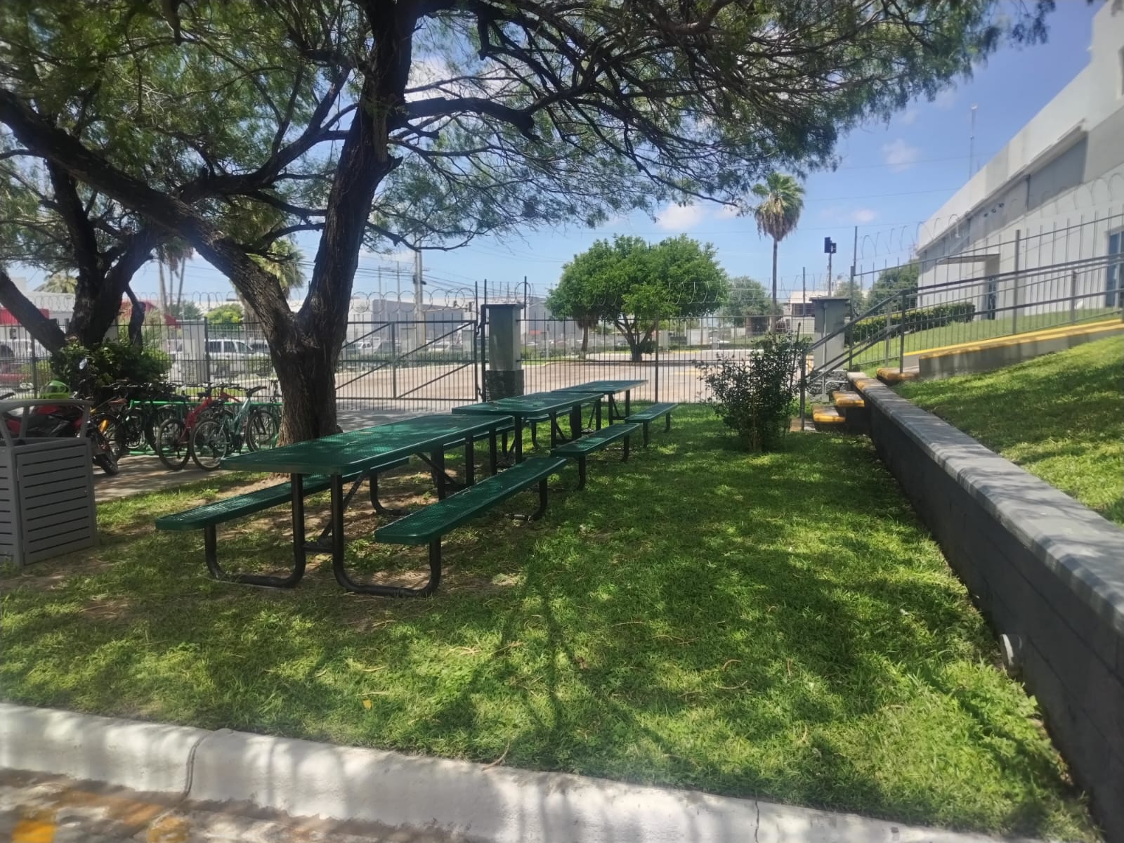 WhatsApp Image 2024-07-29 at 12.58.03 PM