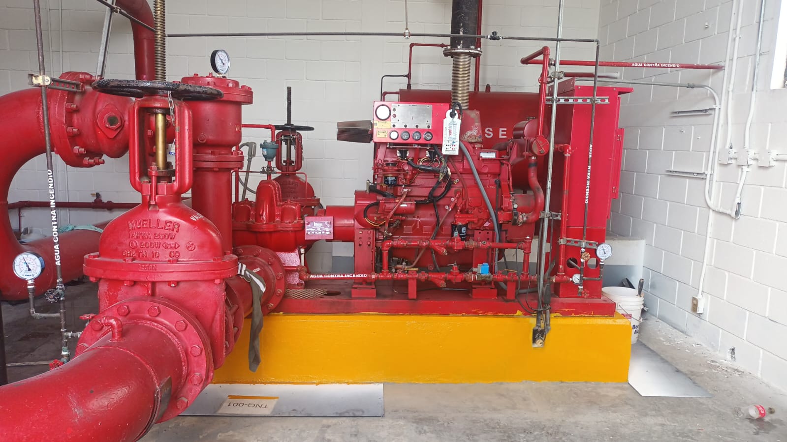 WhatsApp Image 2025-07-07 at 2.49.49 PM