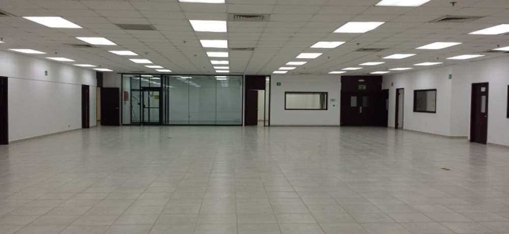 WhatsApp Image 2026-03-19 at 11.28.04 AM