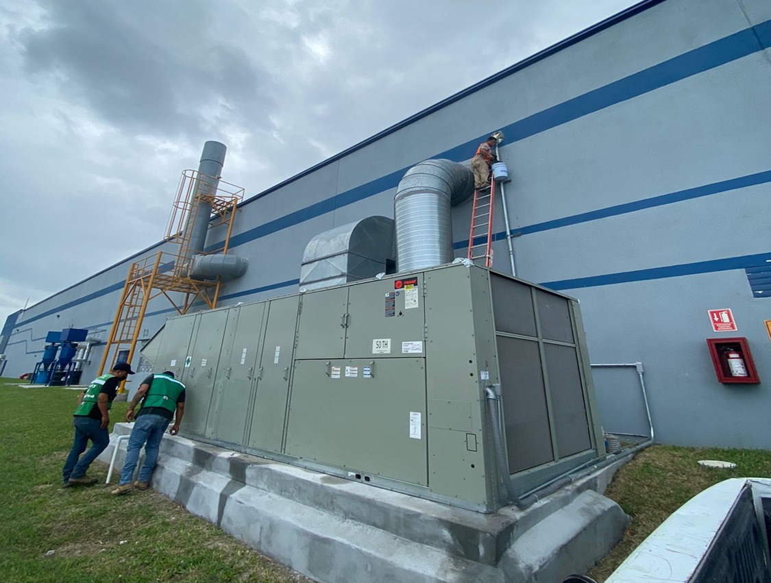 WhatsApp Image 2026-03-19 at 11.58.17 AM